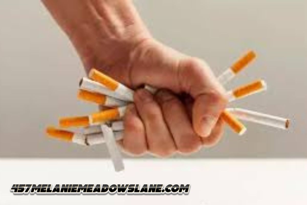 Peneliti Ungkap: Setiap Hari, 9.700 Puntung Rokok Mencemari Sungai di Jabodetabek