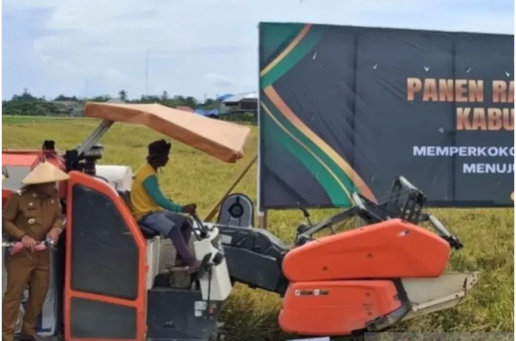 Kabupaten Buru di Maluku Catat Surplus Beras 14.545 Ton